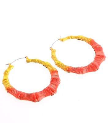 Fashion Hoop Earrings