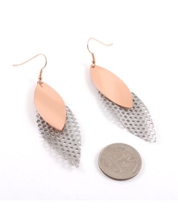 Plated Earrings