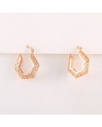 Plated Earrings