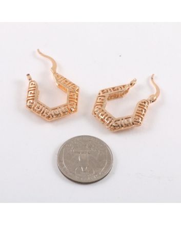 Plated Earrings