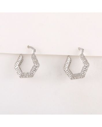 Plated Earrings
