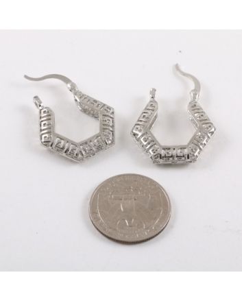 Plated Earrings