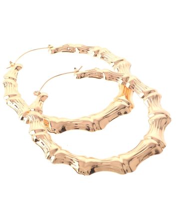 Plated Earrings