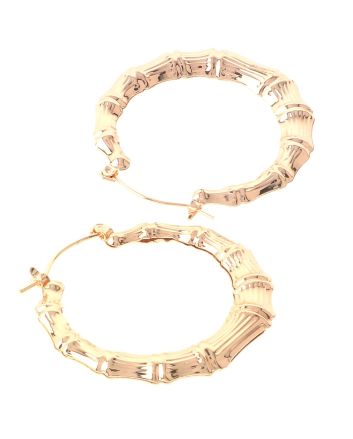 Plated Earrings
