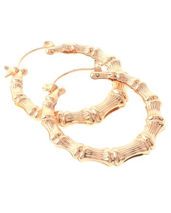 Plated Earrings
