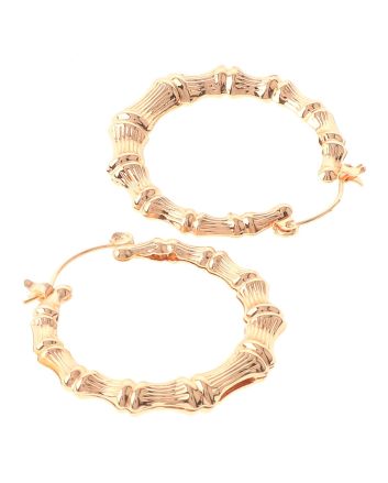 Plated Earrings