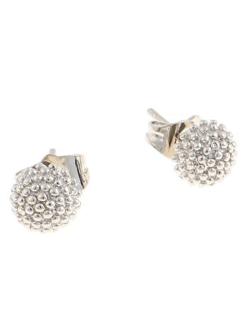 Plated Earrings