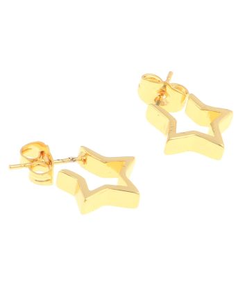 Plated Earrings