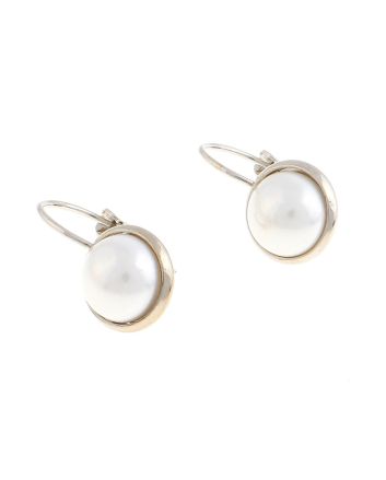 Plated Hook Earrings