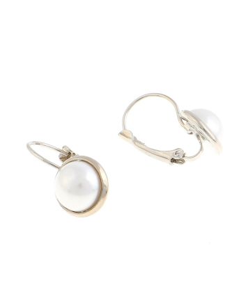 Plated Hook Earrings