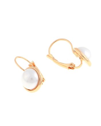 Plated Hook Earrings