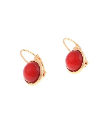 Plated Hook Earrings