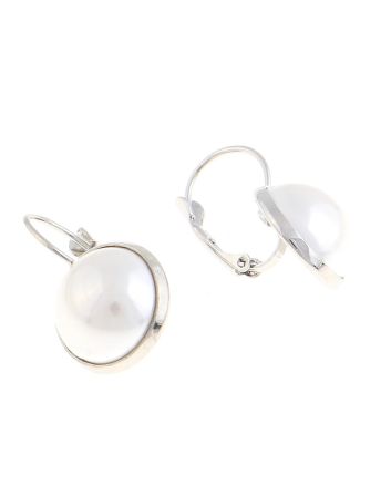 Plated Hook Earrings