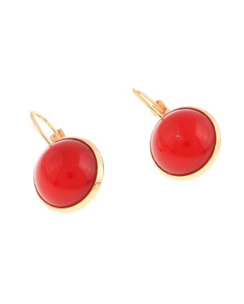Plated Hook Earrings