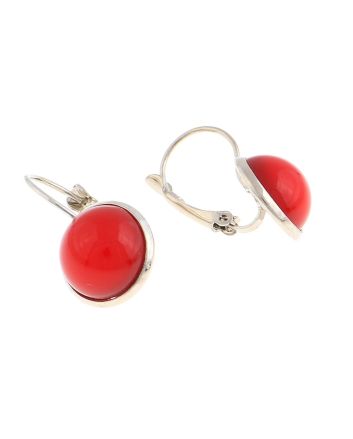 Plated Hook Earrings