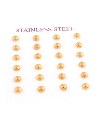 Stainless Steel  Earrings