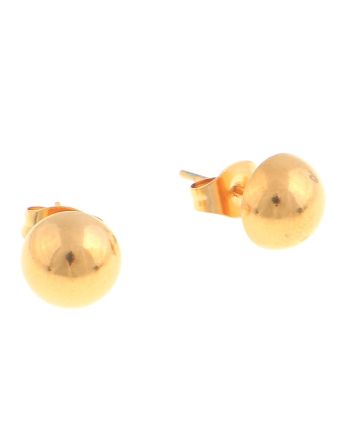Stainless Steel Earrings