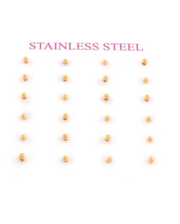 Stainless Steel Earrings