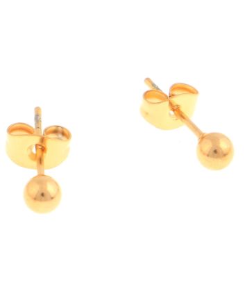 Stainless Steel  Earrings