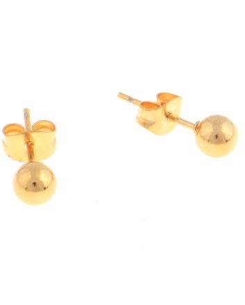 Stainless Steel  Earrings