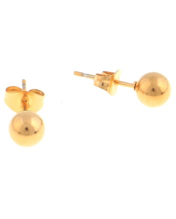 Stainless Steel  Earrings