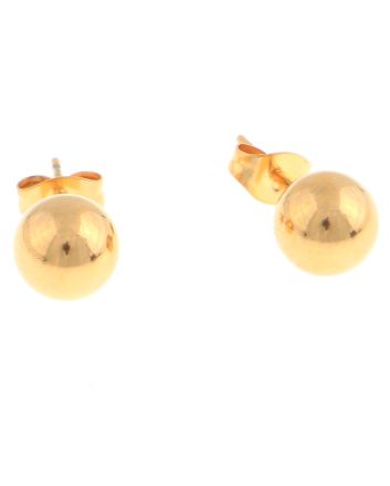 Stainless Steel  Earrings