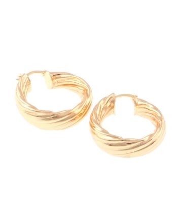 Plated Earrings