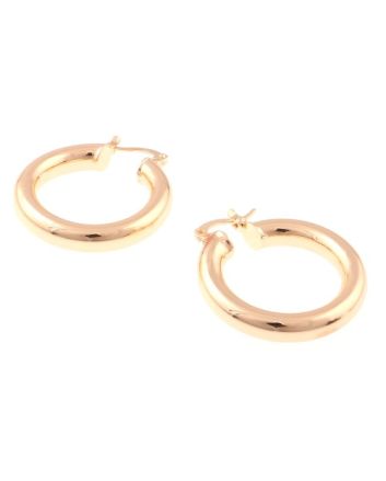 Fashion Hoop Earrings