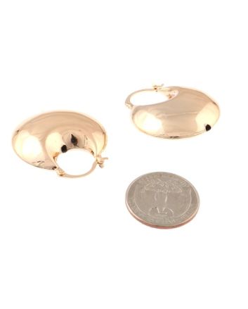 Gold Plated Earrings