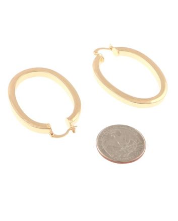 Gold Plated Earrings