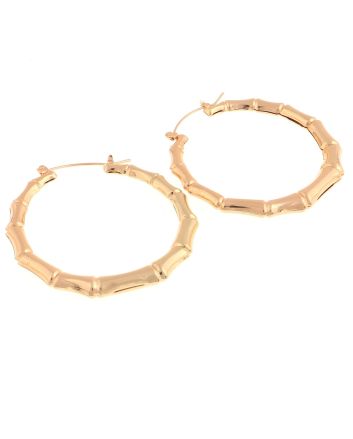 Plated Hoop Earrings