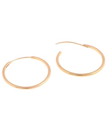 Plated Hoop Earrings