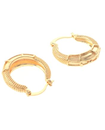Gold Plated Hoop Earrings
