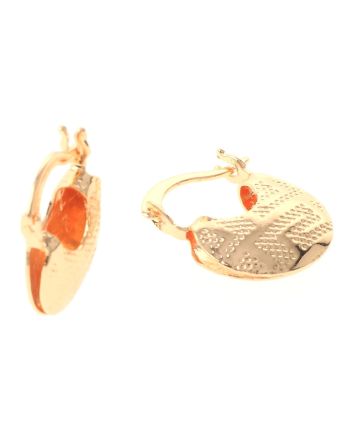 Gold Plated Hoop Earrings