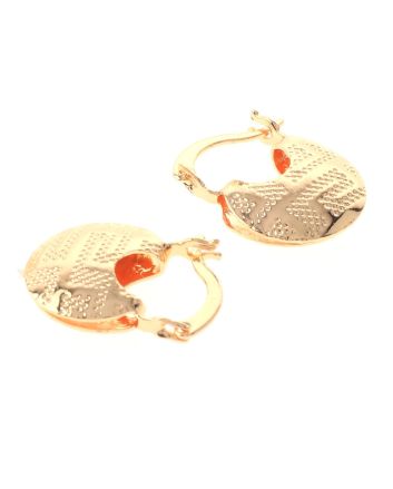 Gold Plated Hoop Earrings