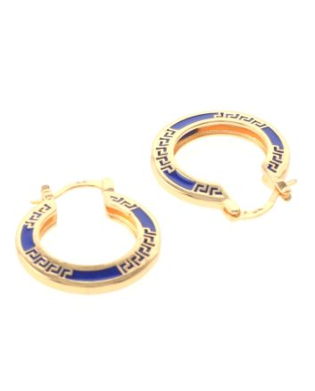 Gold Plated Hoop Earrings