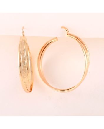 Fashion Hoop Earrings