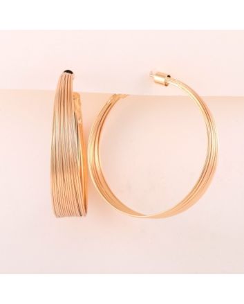 Fashion Hoop Earrings