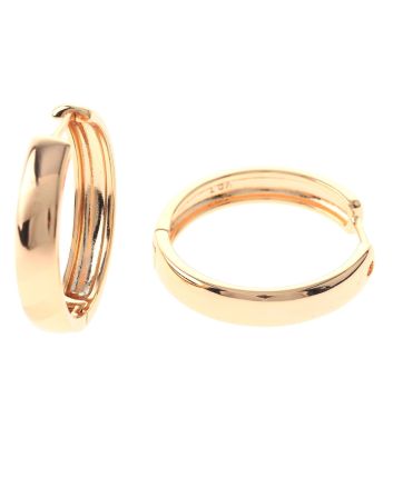 Gold Plated Hoop Earrings