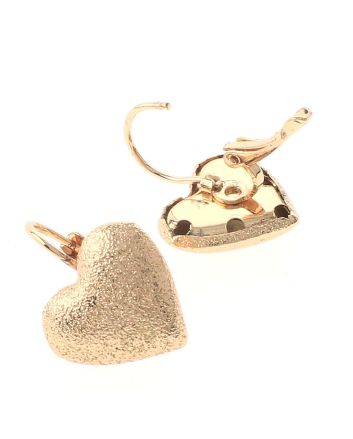 Gold Plated Hook Earrings