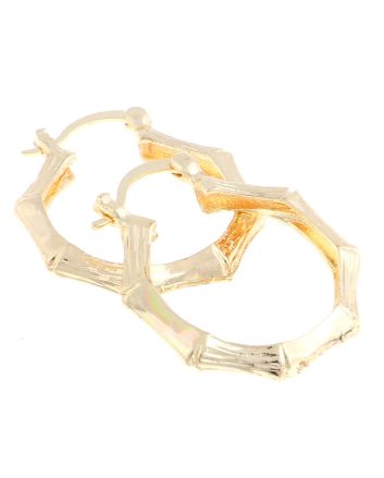 Gold Plated Hoop Earrings