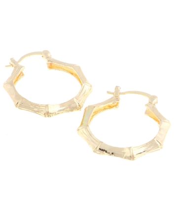 Gold Plated Hoop Earrings