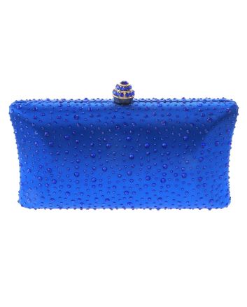Fashion Evening Clutch Bag