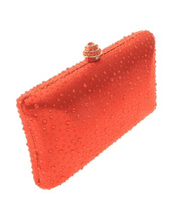 Fashion Evening Clutch Bag