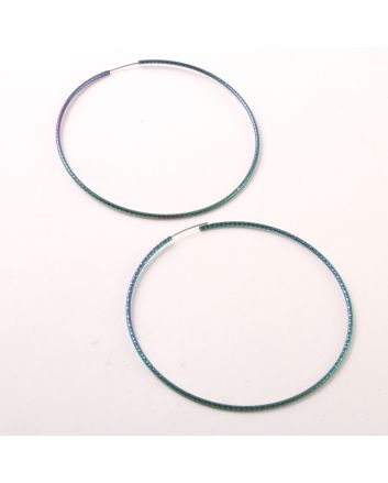 Fashion Hoop Earrings