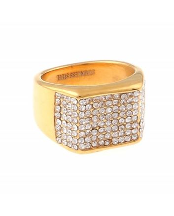 Stainless Steel Ring