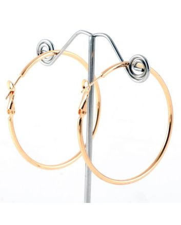 Fashion Hoop Earrings