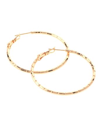 Gold Plated Hoop Earrings