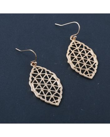 Fashion Hook Earrings