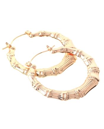 Plated Earrings